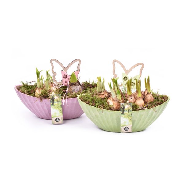 Lente