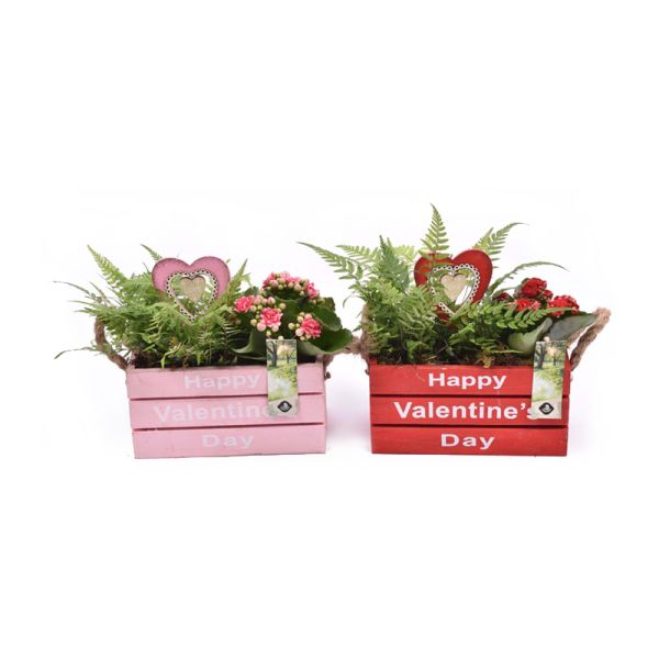 Valentine's day