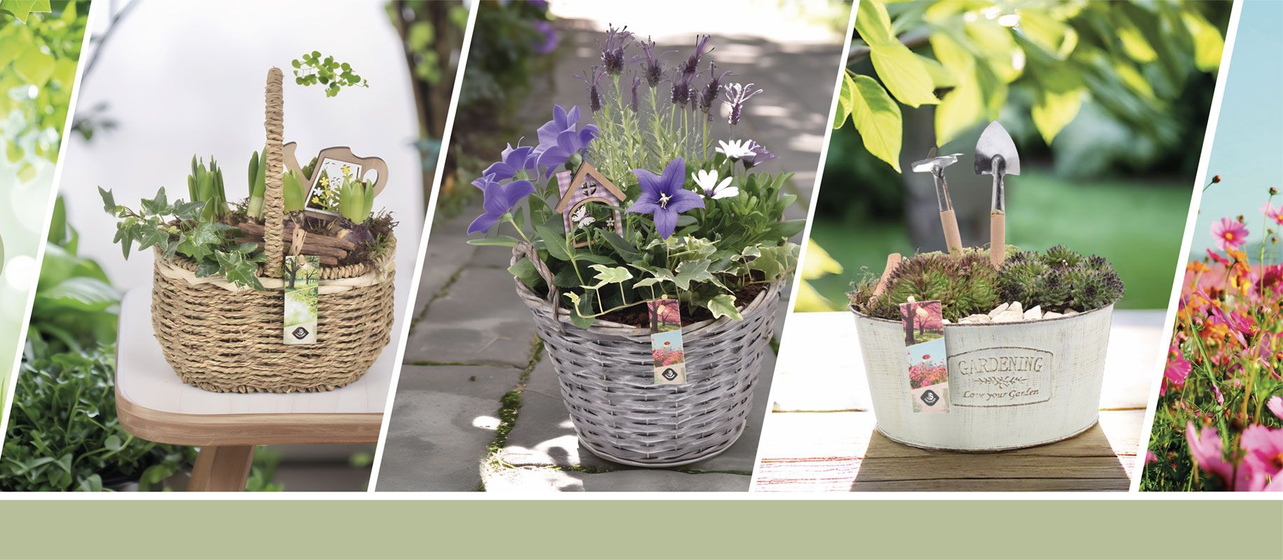 Creatieve plantenarrangementen